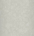 5037 P PERLA LESK-1